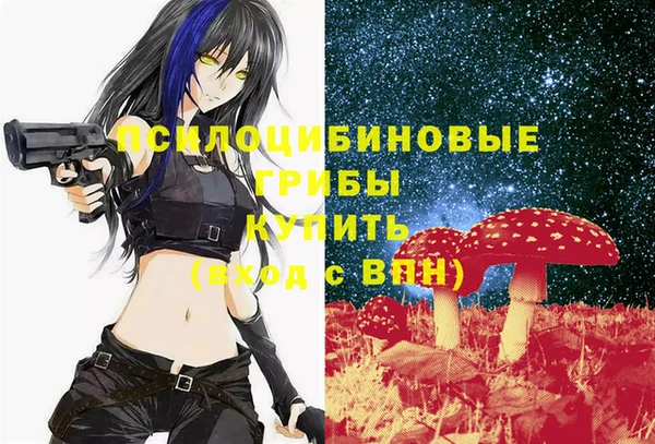 PSILOCYBIN Лагань